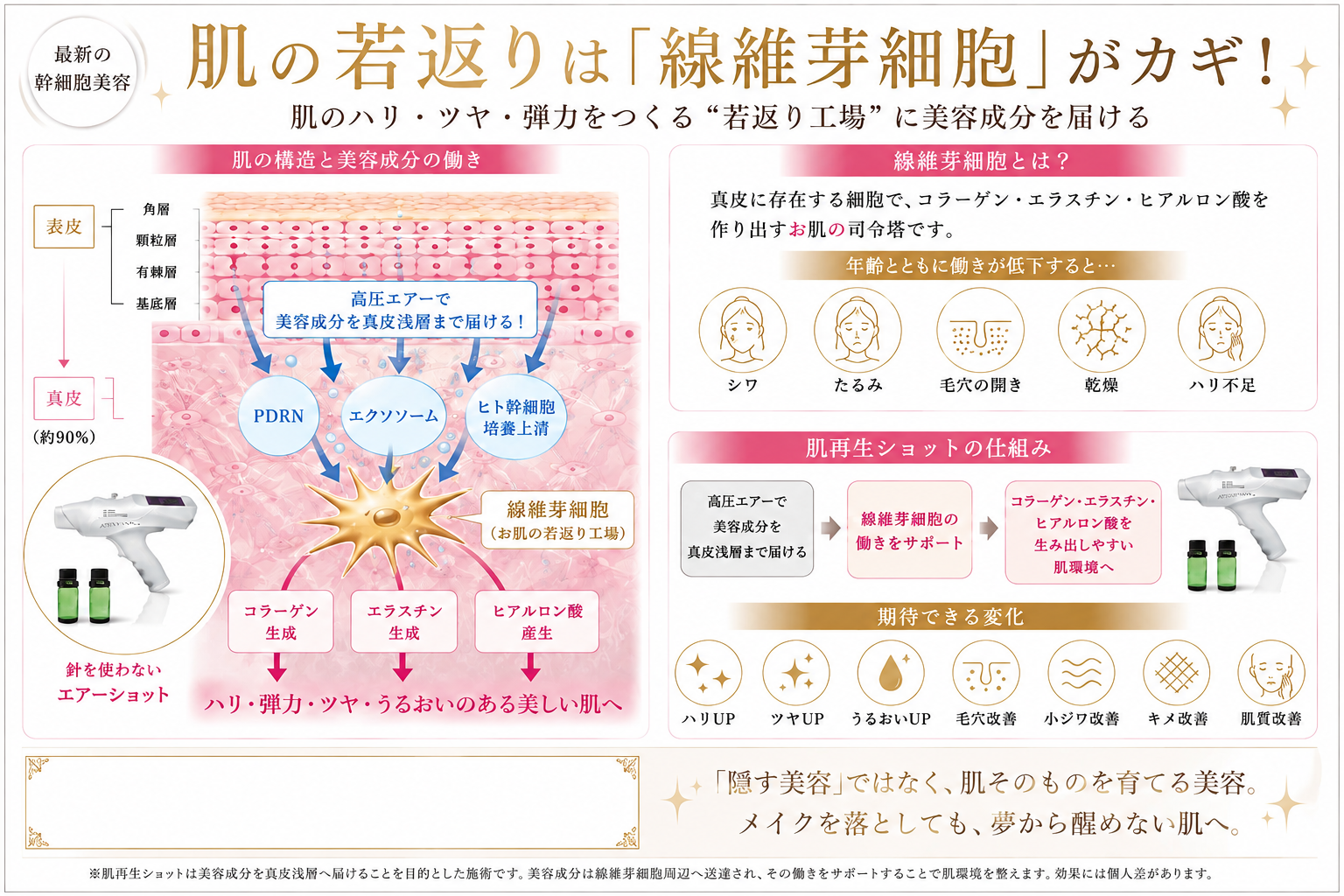 高圧エアーで美容成分を届ける流れと、線維芽細胞・コラーゲン・エラスチン・ヒアルロン酸の関係を説明する肌再生ショットのメカニズム図